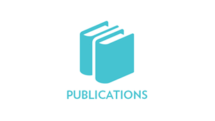 Publications structure IPEM