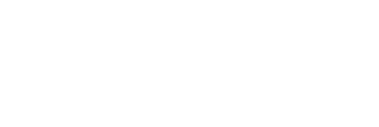 IPEM Logo