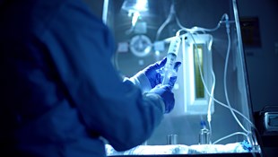 Radionuclide Therapy - Sharing Best Practice for Safe and Optimal Services