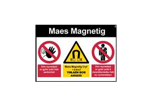 Magnetic Field (landscape)