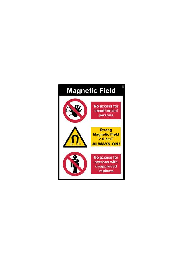 Magnetic Field (portrait)