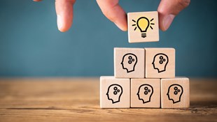 How Can We Overcome the Challenges in the DR and RP Workforce?