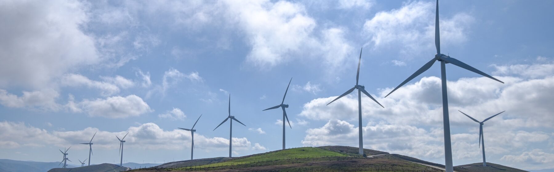 Environmental Sustainability Committee