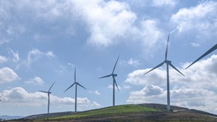 Environmental Sustainability Committee