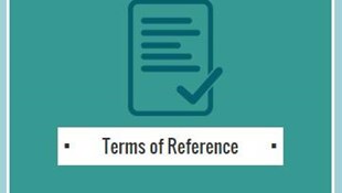 SIG Terms of Reference
