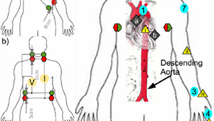 Physiological Measurement Special Interest Group
