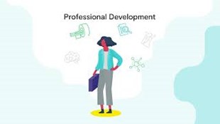 Snapshot: Professional Development