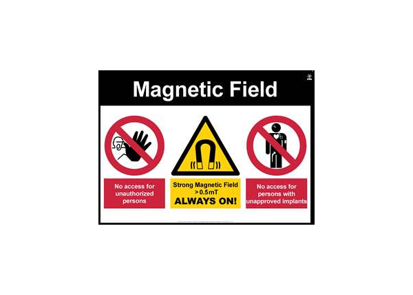 Magnetic Field (landscape)