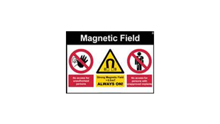 Magnetic Field (landscape)