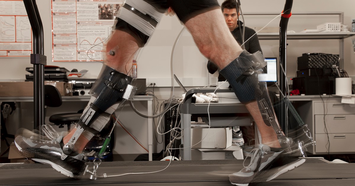 Rehabilitation and Biomechanics Special Interest Group - IPEM